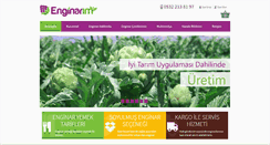 Desktop Screenshot of enginarsatis.com