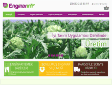 Tablet Screenshot of enginarsatis.com